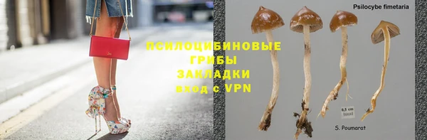 MDMA Premium VHQ Бородино